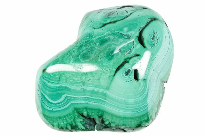 Flowery Polished Malachite Specimen - DR Congo #305215